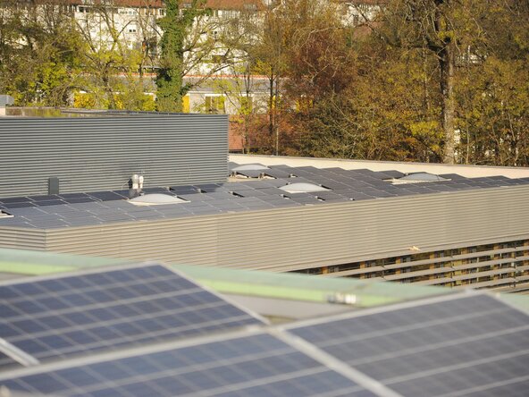 Photovoltaikanlage auf einem Flachdach mit umliegenden Bäumen