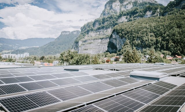 PV Anlage auf einem Industriedach mit Wald im Hintergrund