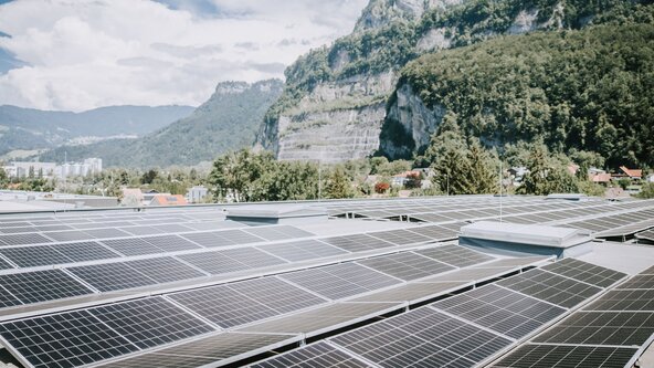 PV Anlage auf einem Industriedach mit Wald im Hintergrund