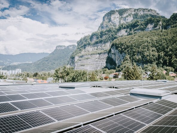PV Anlage auf einem Industriedach mit Wald im Hintergrund