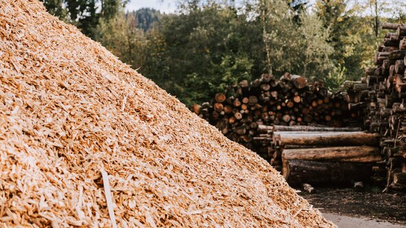 Nahaufnahme von Hackschnitzel