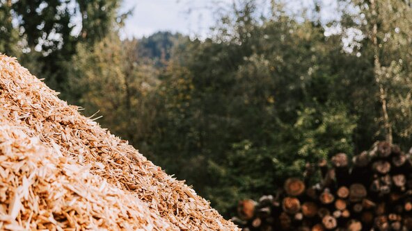 Nahaufnahme von Hackschnitzel