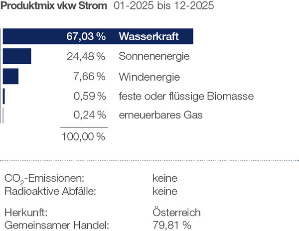 Darstellung Produktmix Strom